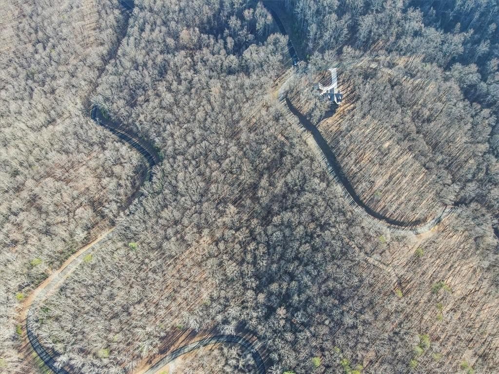 unimproved land for sale at 0 Mountain Side Parkway, Ellijay, GA 30536 — photo 10
