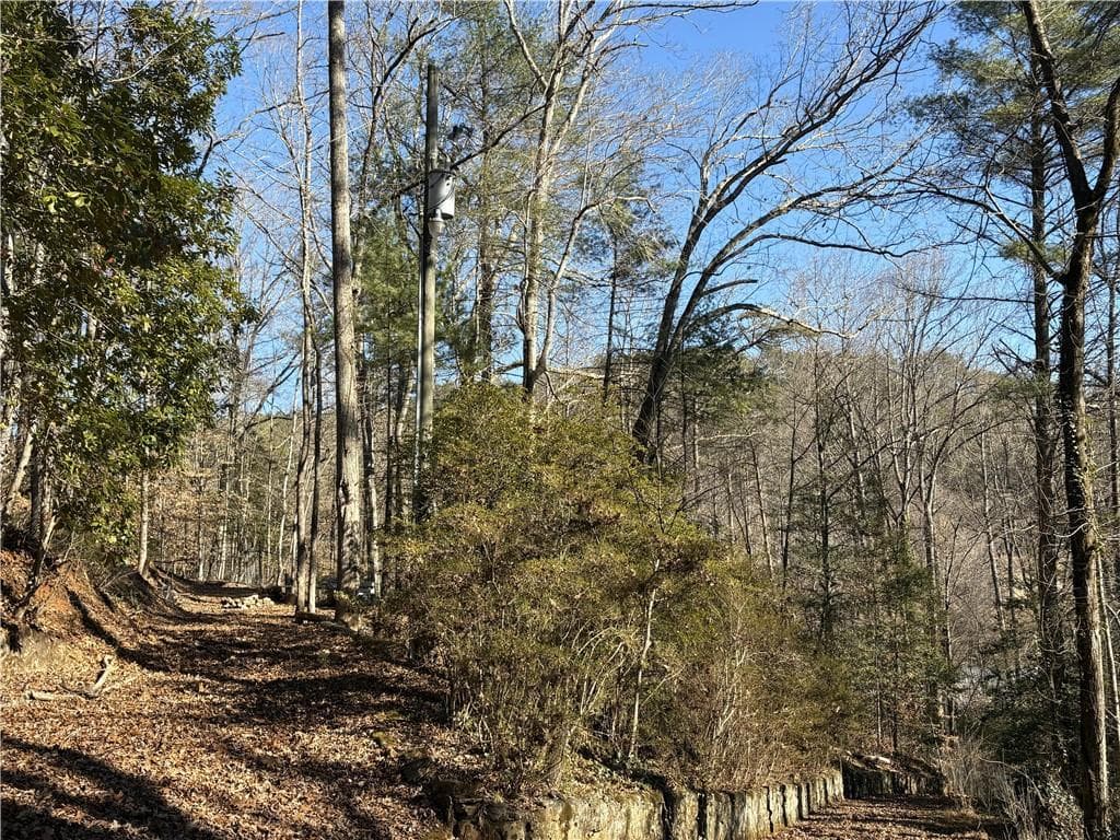 other for sale at 170 Old Gold Mine Trail, Helen, GA 30545 — photo 10