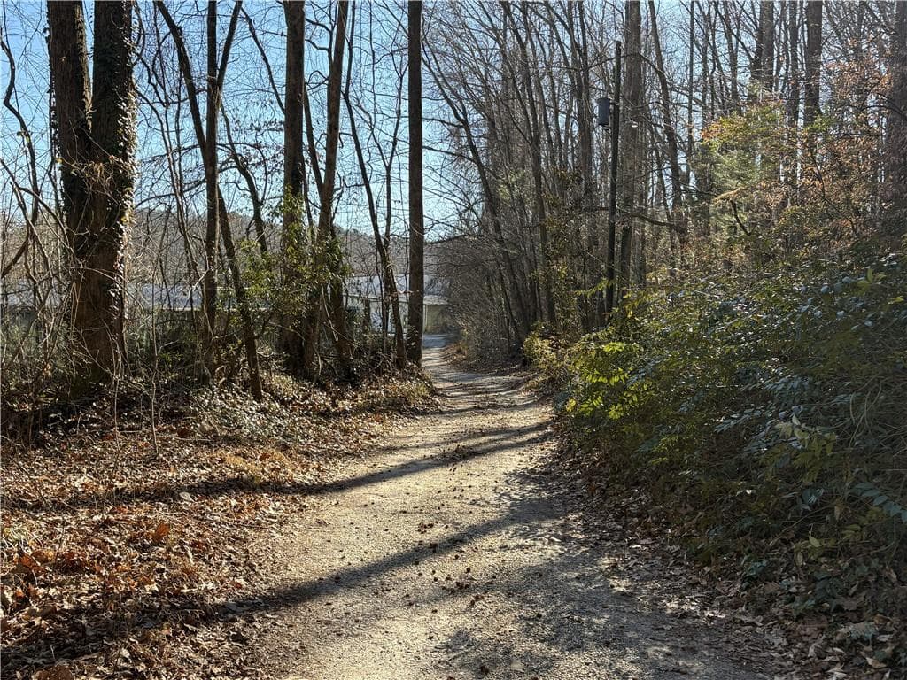 other for sale at 170 Old Gold Mine Trail, Helen, GA 30545 — photo 9