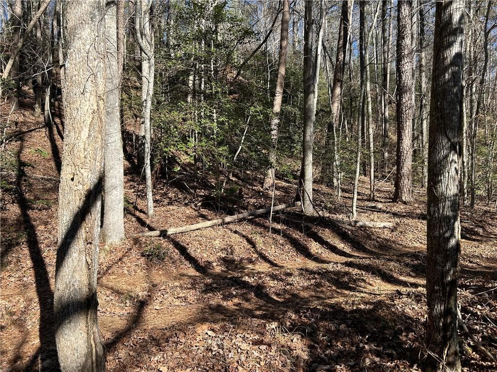 unimproved land for sale at 000 Twin River Orchard Road, Demorest, GA 30535 — photo 3