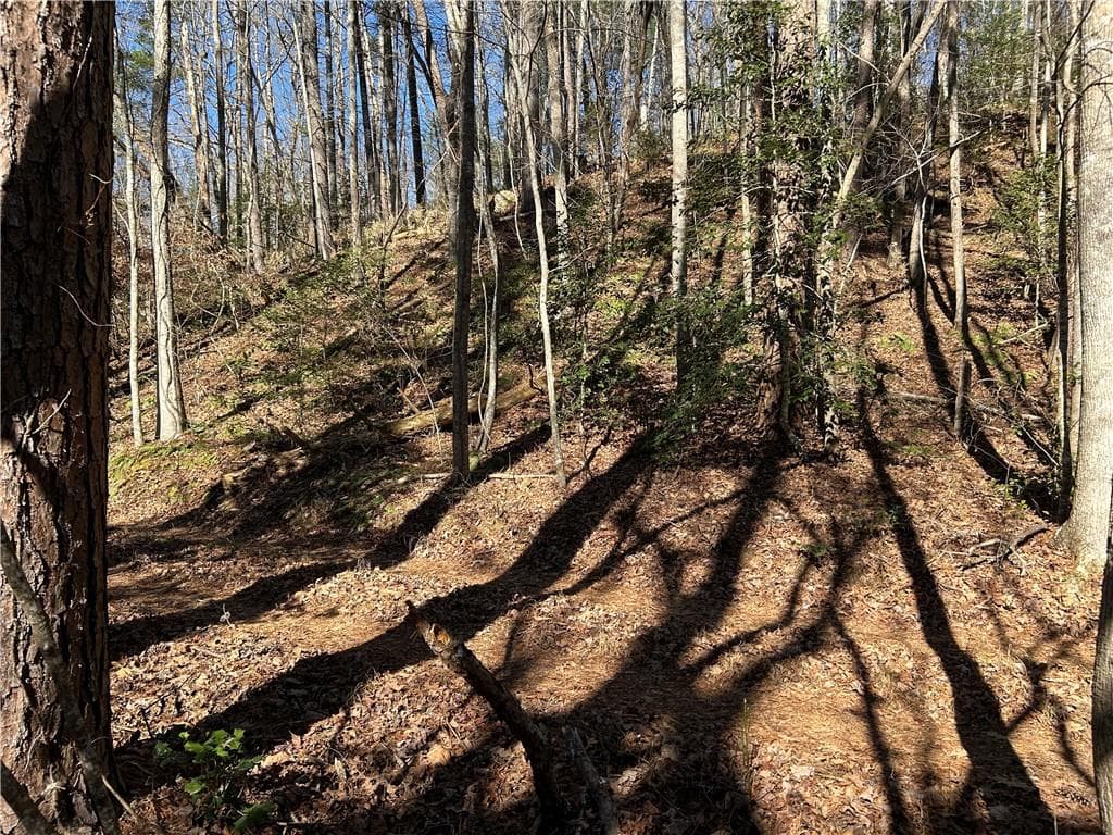 unimproved land for sale at 000 Twin River Orchard Road, Demorest, GA 30535 — photo 4