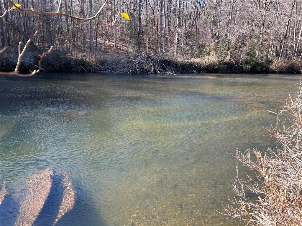 unimproved land for sale at 000 Twin River Orchard Road, Demorest, GA 30535 — photo 5