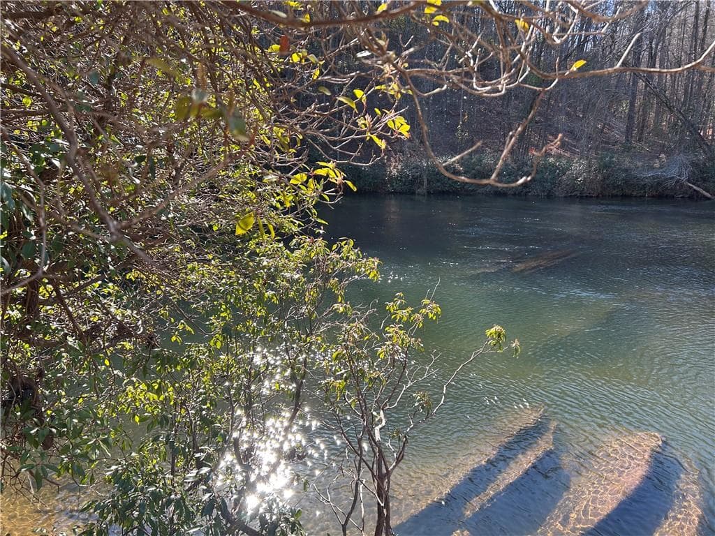unimproved land for sale at 000 Twin River Orchard Road, Demorest, GA 30535 — photo 6