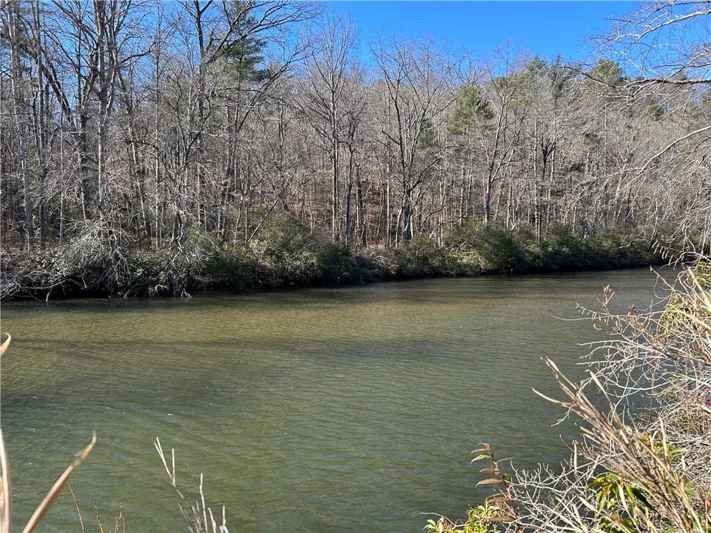unimproved land for sale at 000 Twin River Orchard Road, Demorest, GA 30535 — photo 7