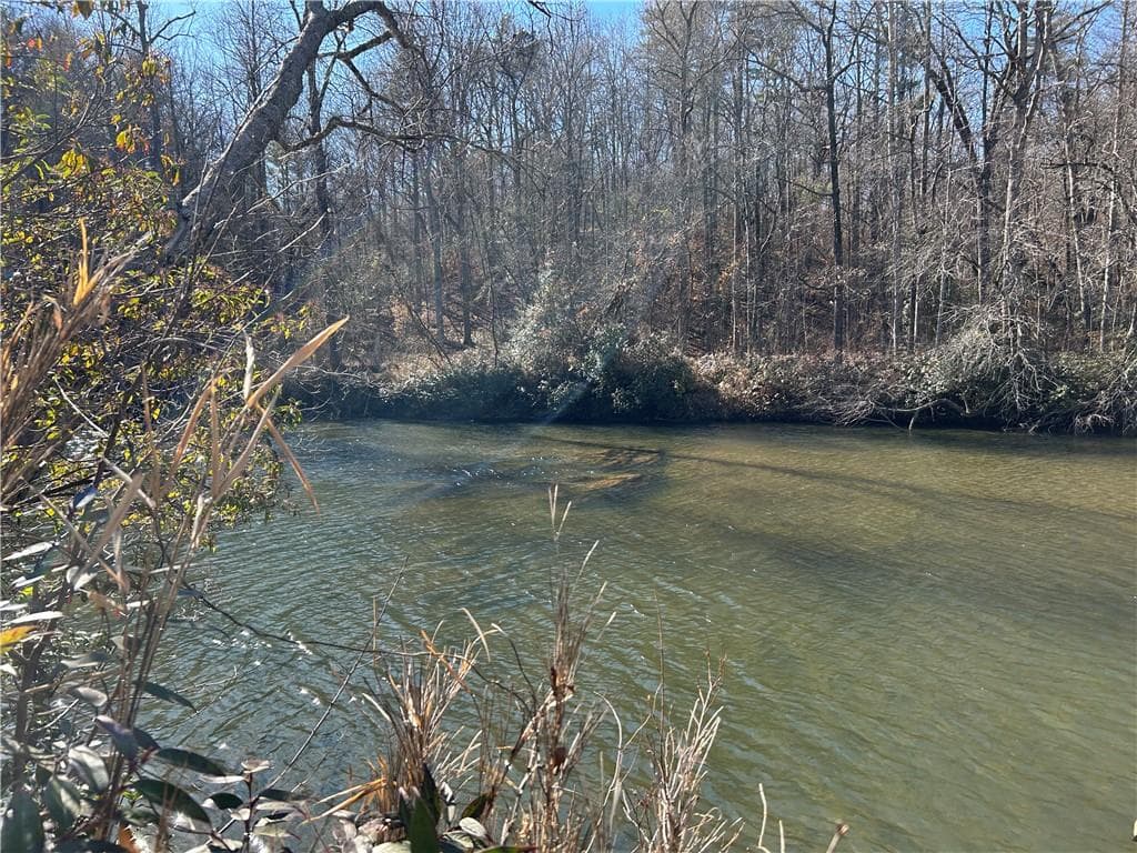 unimproved land for sale at 000 Twin River Orchard Road, Demorest, GA 30535 — photo 8