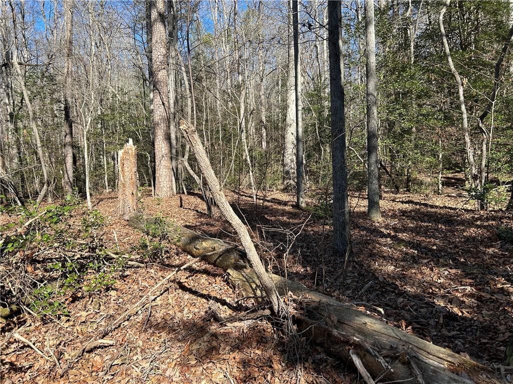 unimproved land for sale at 000 Twin River Orchard Road, Demorest, GA 30535 — photo 9