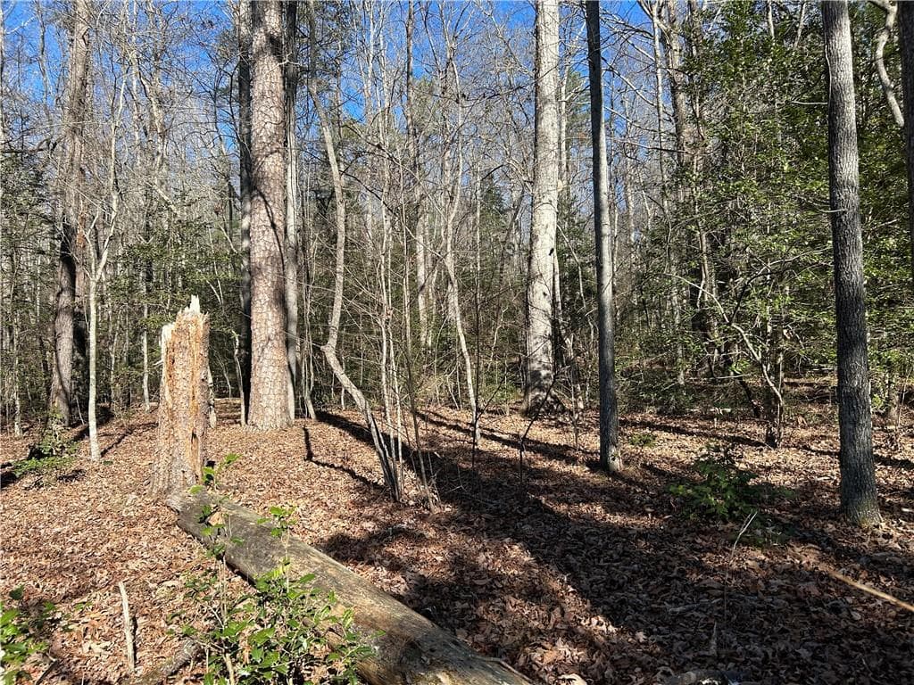 unimproved land for sale at 000 Twin River Orchard Road, Demorest, GA 30535 — photo 10