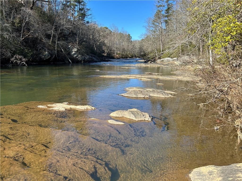unimproved land for sale at 0000 Twin River Orchard Road, Demorest, GA 30535 — photo 2