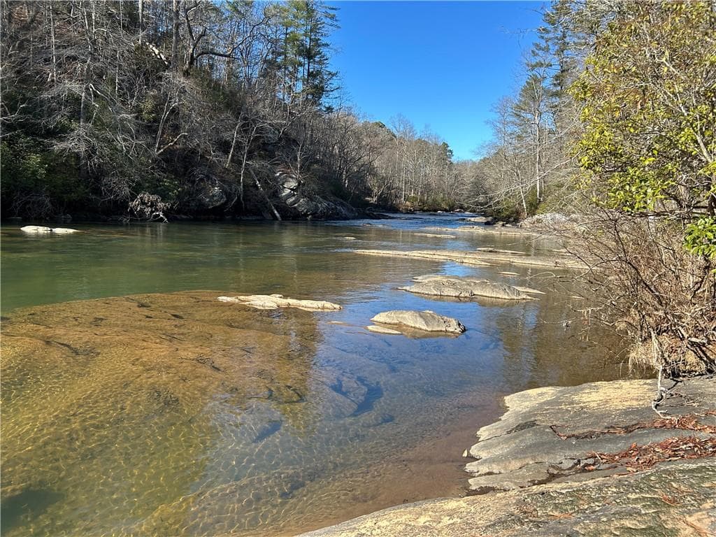 unimproved land for sale at 0000 Twin River Orchard Road, Demorest, GA 30535 — photo 3