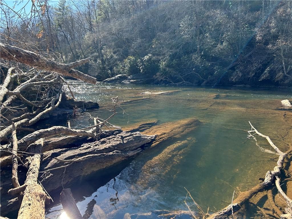 unimproved land for sale at 0000 Twin River Orchard Road, Demorest, GA 30535 — photo 7