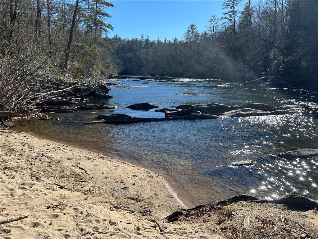 unimproved land for sale at 0000 Twin River Orchard Road, Demorest, GA 30535 — photo 9