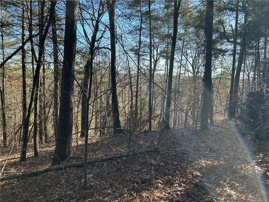 unimproved land for sale at 00000 Twin River Orchard Road, Demorest, GA 30535 — photo 1 of 15