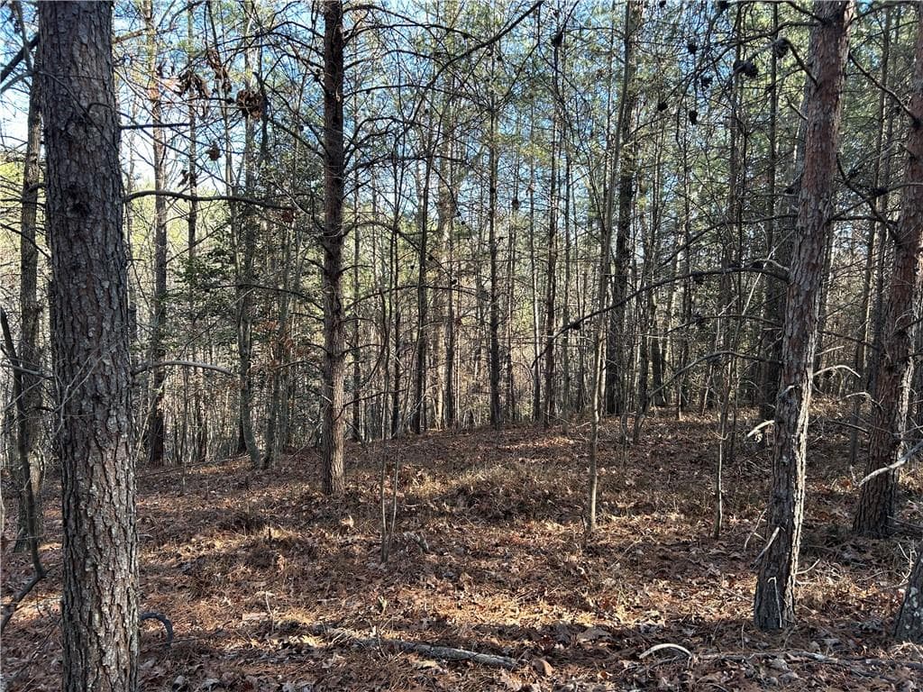 unimproved land for sale at 00000 Twin River Orchard Road, Demorest, GA 30535 — photo 2