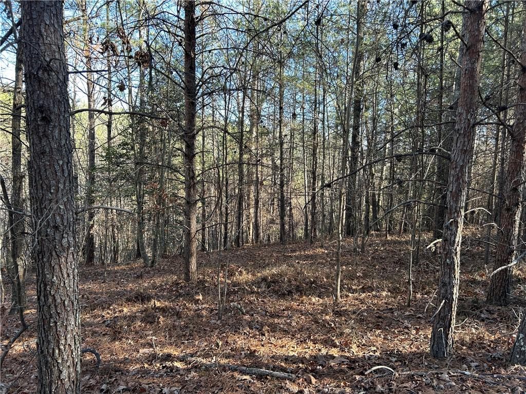 unimproved land for sale at 00000 Twin River Orchard Road, Demorest, GA 30535 — photo 3