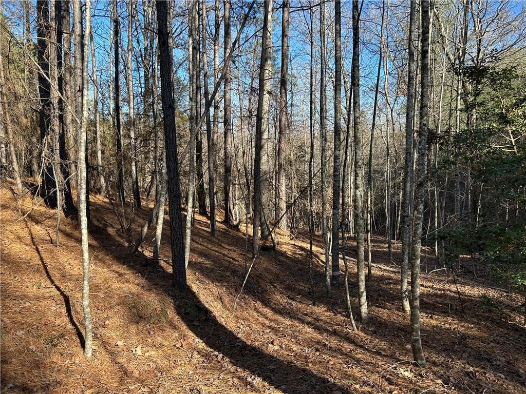 unimproved land for sale at 00000 Twin River Orchard Road, Demorest, GA 30535 — photo 4