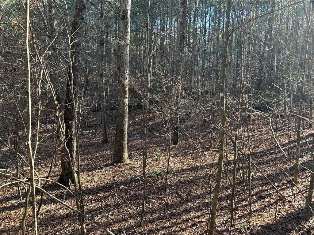 unimproved land for sale at 00000 Twin River Orchard Road, Demorest, GA 30535 — photo 5