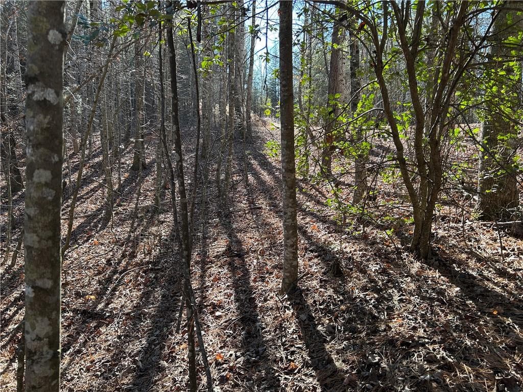unimproved land for sale at 00000 Twin River Orchard Road, Demorest, GA 30535 — photo 6