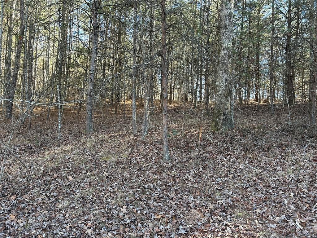 unimproved land for sale at 00000 Twin River Orchard Road, Demorest, GA 30535 — photo 7