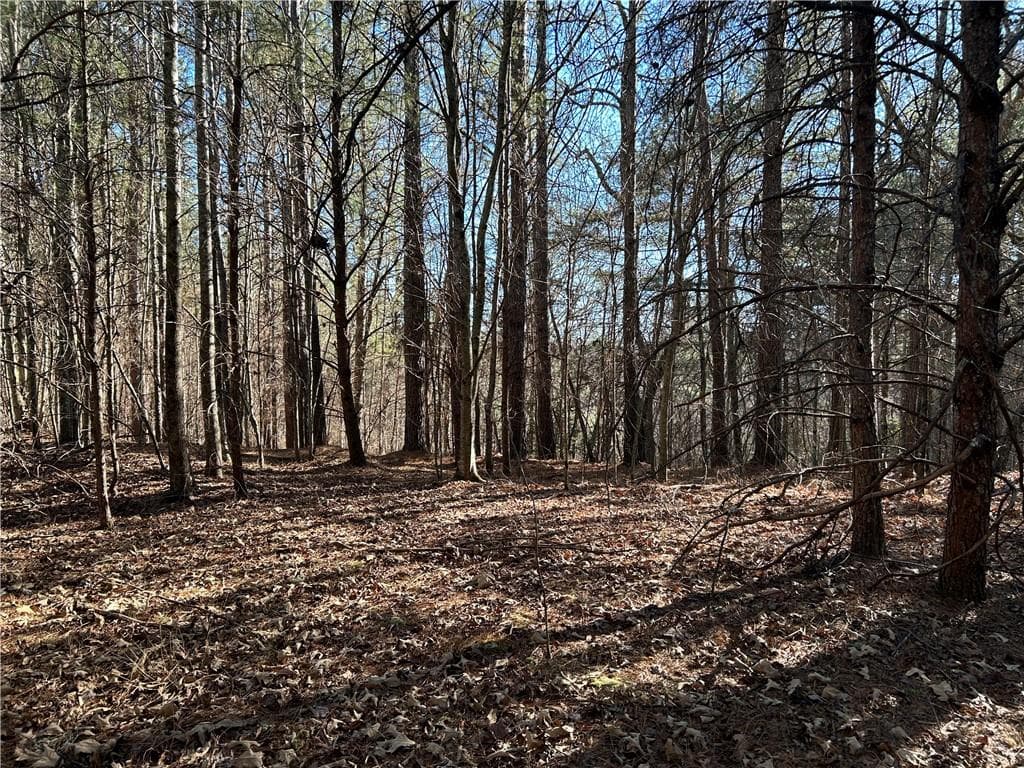 unimproved land for sale at 00000 Twin River Orchard Road, Demorest, GA 30535 — photo 8
