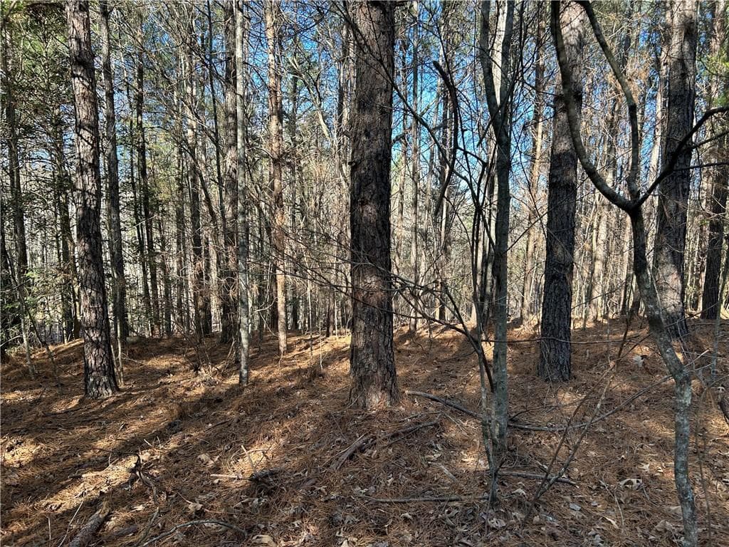 unimproved land for sale at 00000 Twin River Orchard Road, Demorest, GA 30535 — photo 9