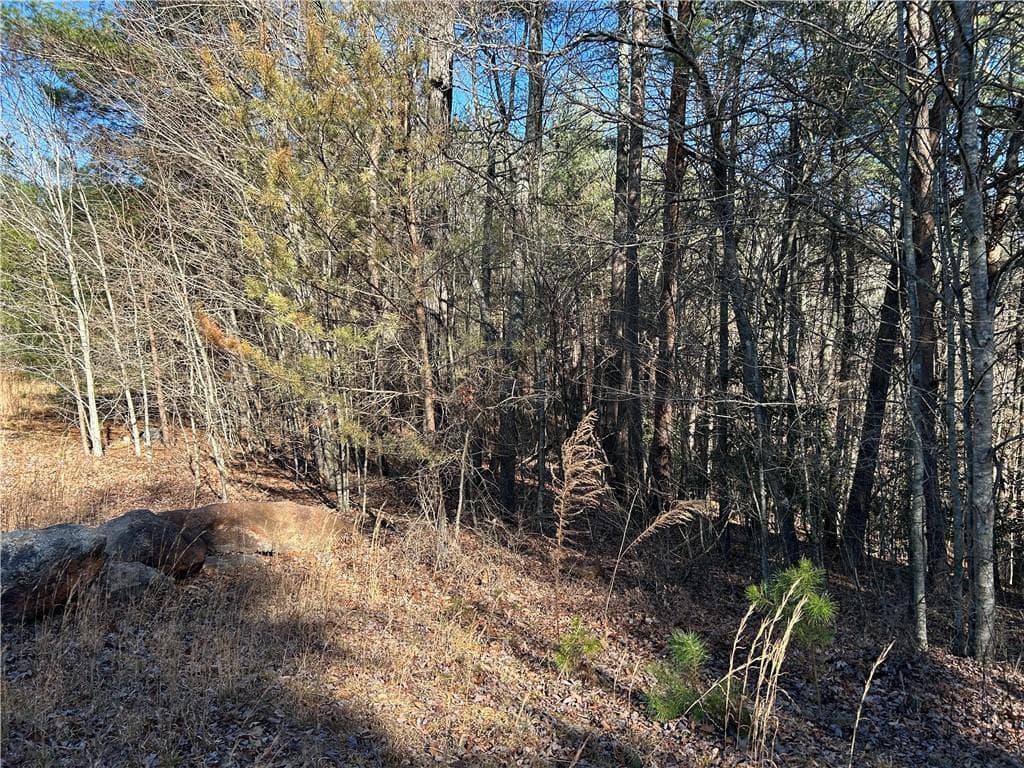 unimproved land for sale at 00000 Twin River Orchard Road, Demorest, GA 30535 — photo 10