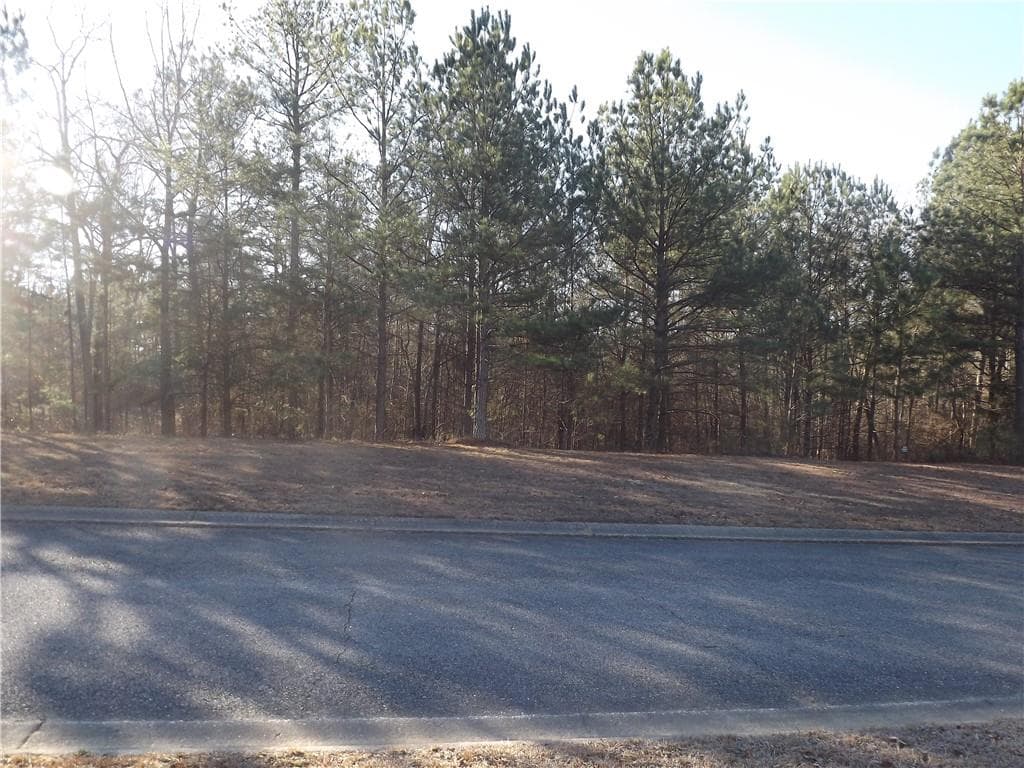 other for sale at Lot 10 Sunset Loop, Cedartown, GA 30125 — photo 2
