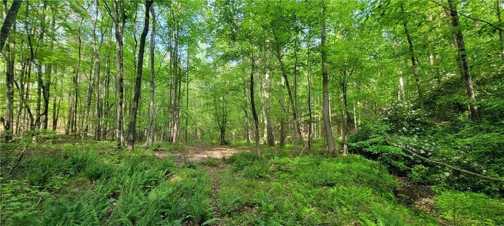 single family residence for sale at 22 Vineyard Road, Dallas, GA 30132 — photo 8