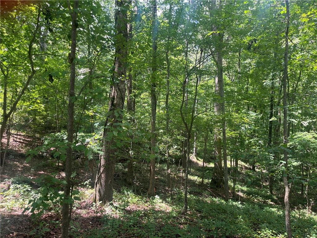 single family residence sold at 6 Acres Henry Scott, Ball Ground, GA 30107