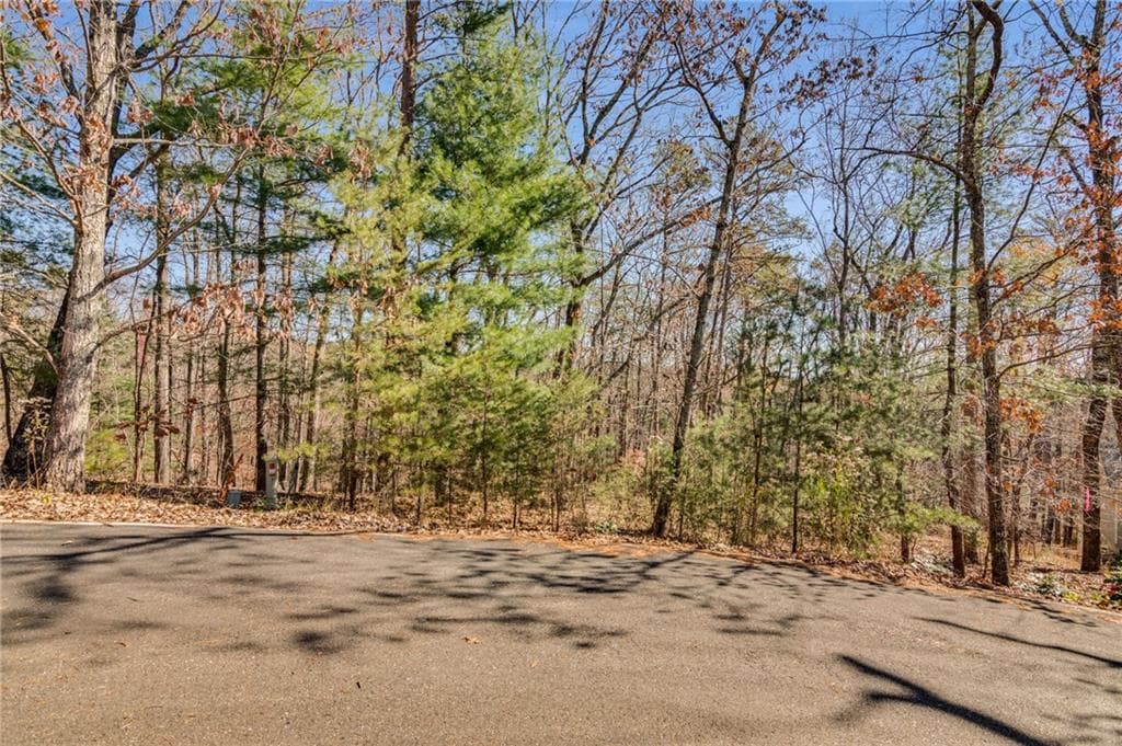 single family residence for sale at 3356 Bee Balm Way, Big Canoe, GA 30143 — photo 7