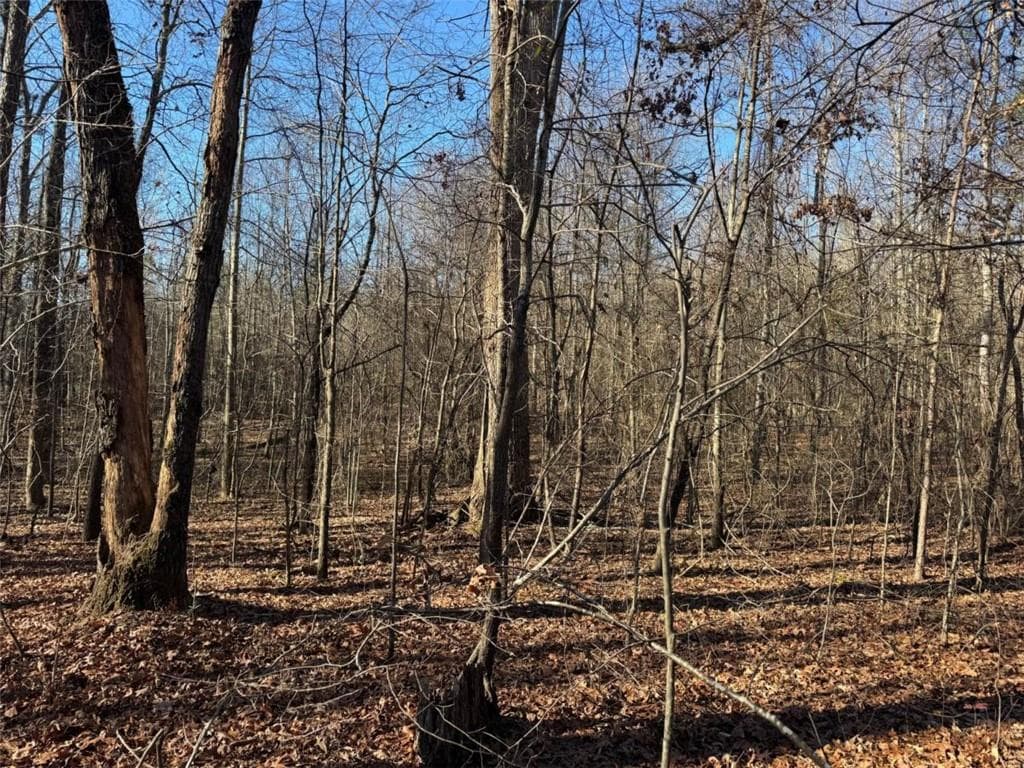 other for sale at 6601 Hog Mountain Hwy - Hwy 53, Bogart, GA 30622 — photo 2