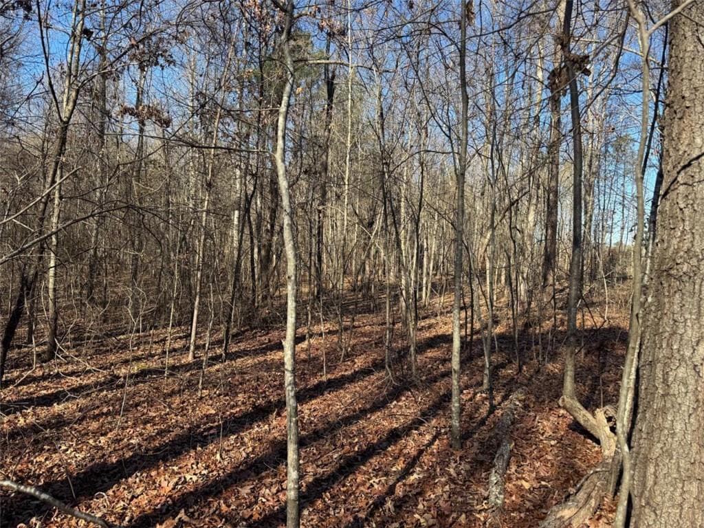 other for sale at 6601 Hog Mountain Hwy - Hwy 53, Bogart, GA 30622 — photo 3