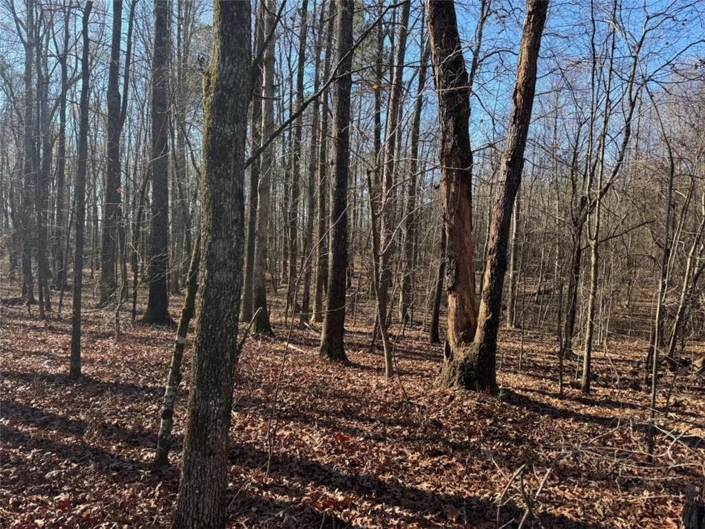 other for sale at 6601 Hog Mountain Hwy - Hwy 53, Bogart, GA 30622 — photo 4