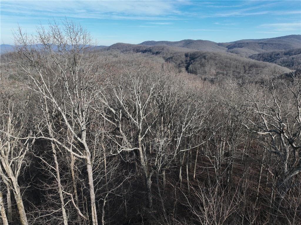 single family residence for sale at 275 Andes Ridge, Ellijay, GA 30536 — photo 10