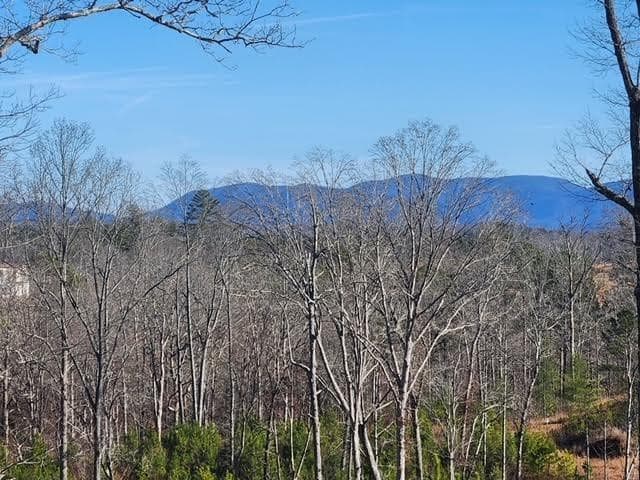 0 High River Crossing Road, Ellijay, GA 30540 — most recent listing photo