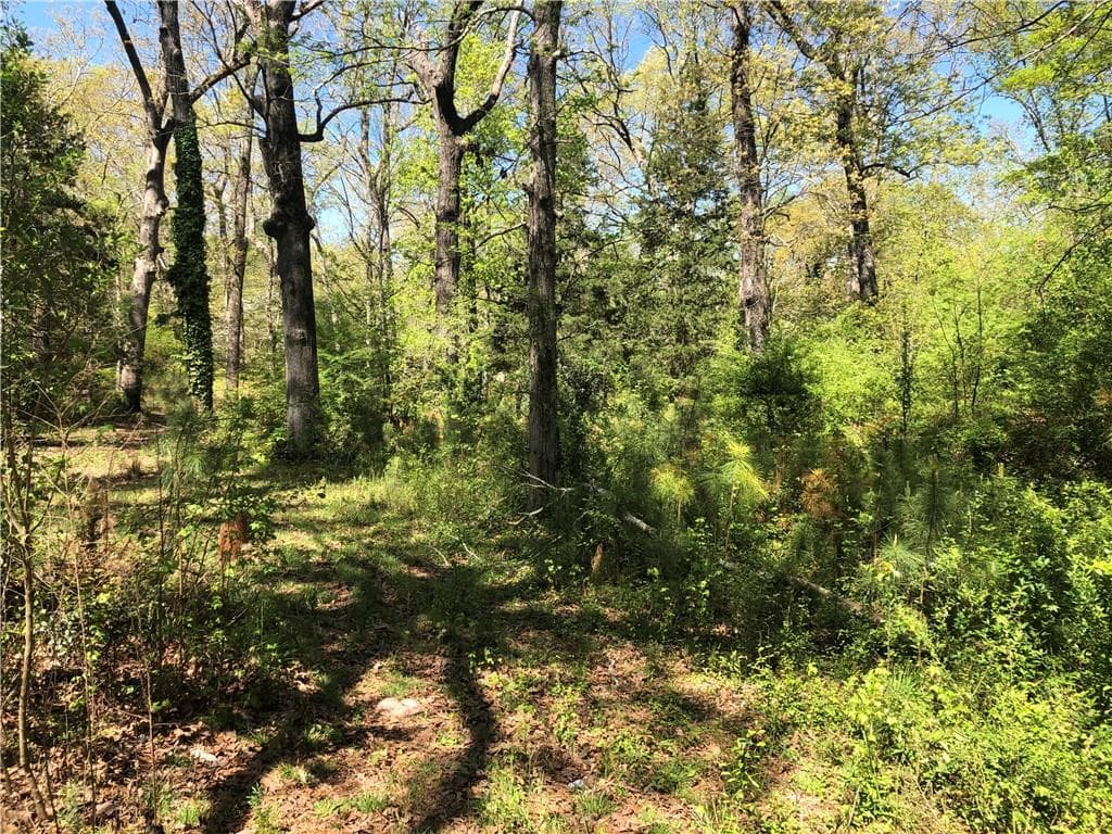 3 bedroom, 2 bathroom single family residence for sale at 2165 Old Salem Road, Conyers, GA 30013 — photo 2