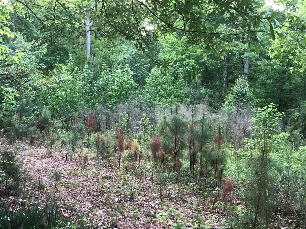 3 bedroom, 2 bathroom single family residence for sale at 2165 Old Salem Road, Conyers, GA 30013 — photo 7