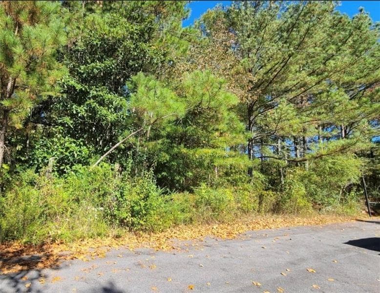 unimproved land for sale at 0 Scarlett Lane, Rome, GA 30161 — photo 1 of 17