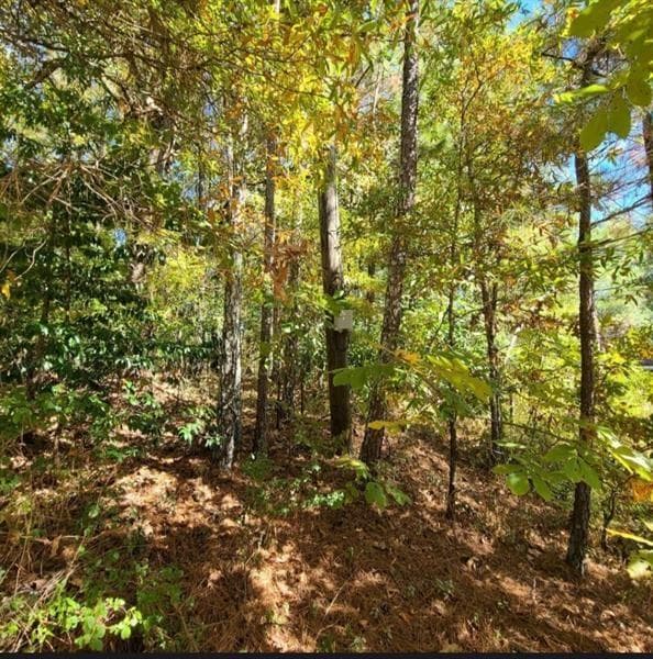 unimproved land for sale at 0 Scarlett Lane, Rome, GA 30161 — photo 2