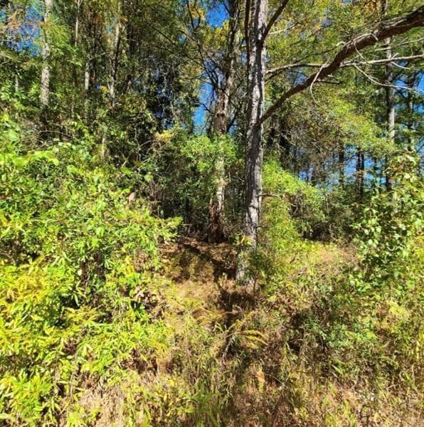 unimproved land for sale at 0 Scarlett Lane, Rome, GA 30161 — photo 3