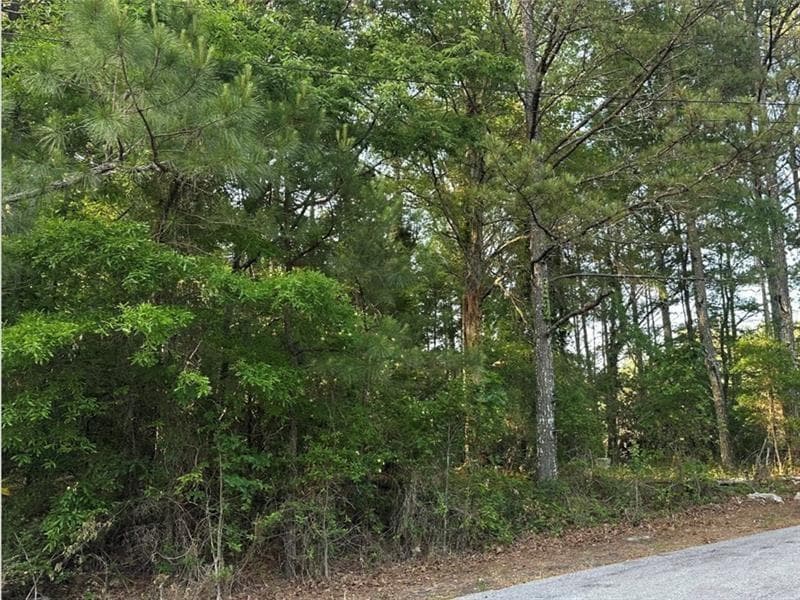 unimproved land for sale at 0 Scarlett Lane, Rome, GA 30161 — photo 5