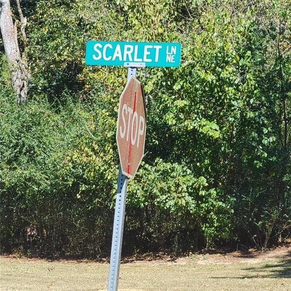 unimproved land for sale at 0 Scarlett Lane, Rome, GA 30161 — photo 9