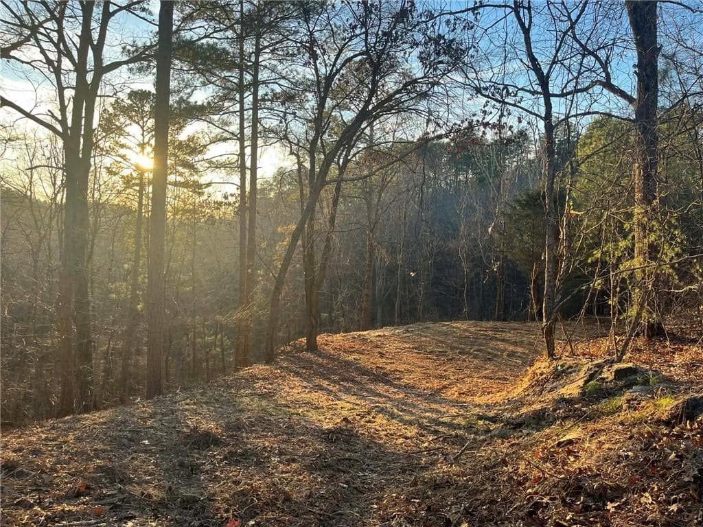 unimproved land for sale at 331 Paladin Drive, Ranger, GA 30734 — photo 1 of 23