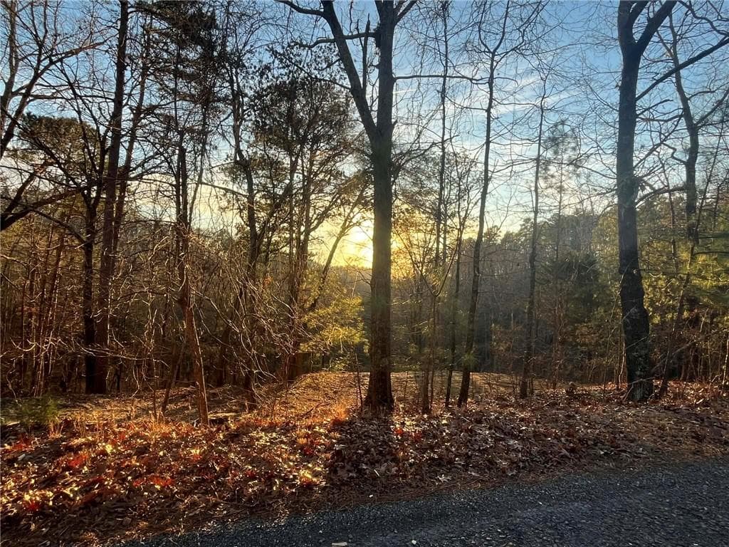 unimproved land for sale at 331 Paladin Drive, Ranger, GA 30734 — photo 2