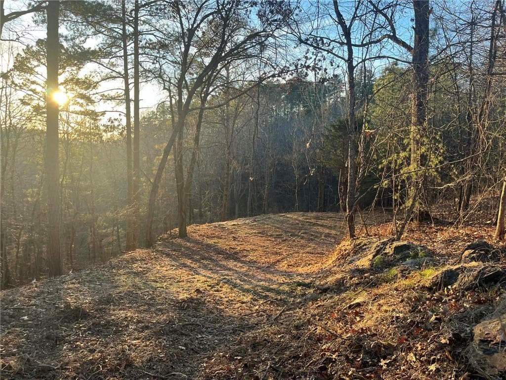 unimproved land for sale at 331 Paladin Drive, Ranger, GA 30734 — photo 3