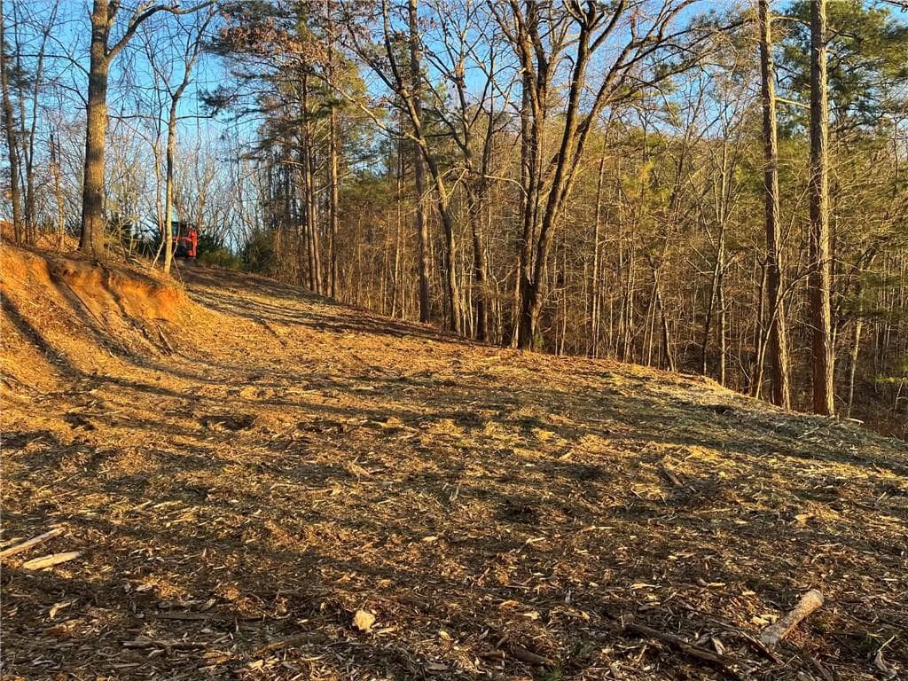 unimproved land for sale at 331 Paladin Drive, Ranger, GA 30734 — photo 4