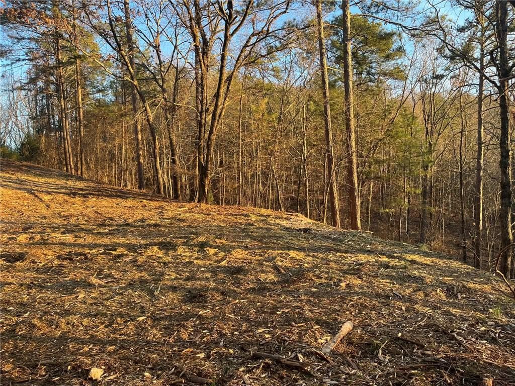 unimproved land for sale at 331 Paladin Drive, Ranger, GA 30734 — photo 5