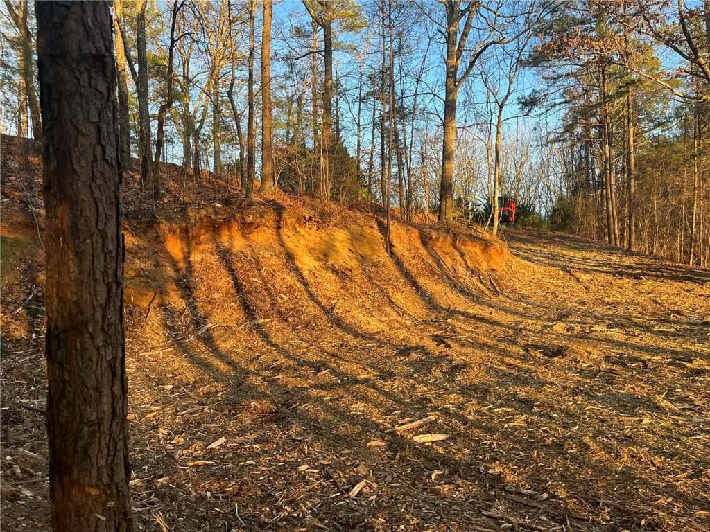 unimproved land for sale at 331 Paladin Drive, Ranger, GA 30734 — photo 6