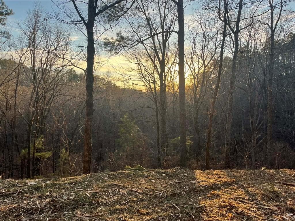 unimproved land for sale at 331 Paladin Drive, Ranger, GA 30734 — photo 7