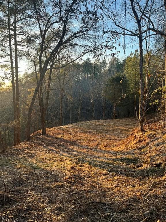 unimproved land for sale at 331 Paladin Drive, Ranger, GA 30734 — photo 8