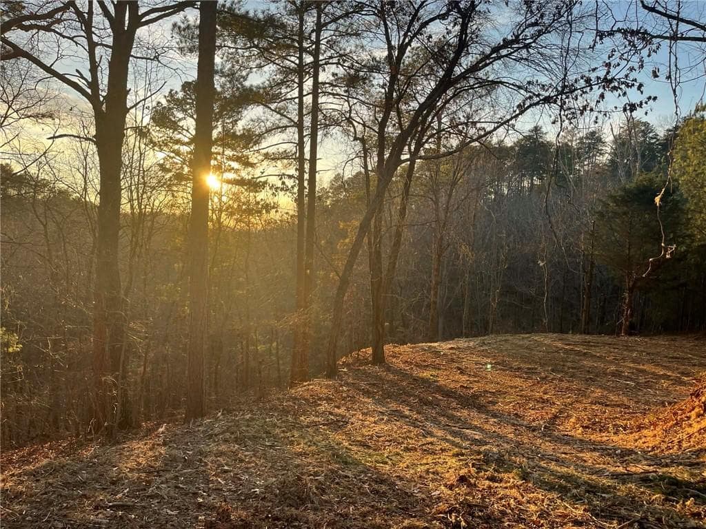 unimproved land for sale at 331 Paladin Drive, Ranger, GA 30734 — photo 9